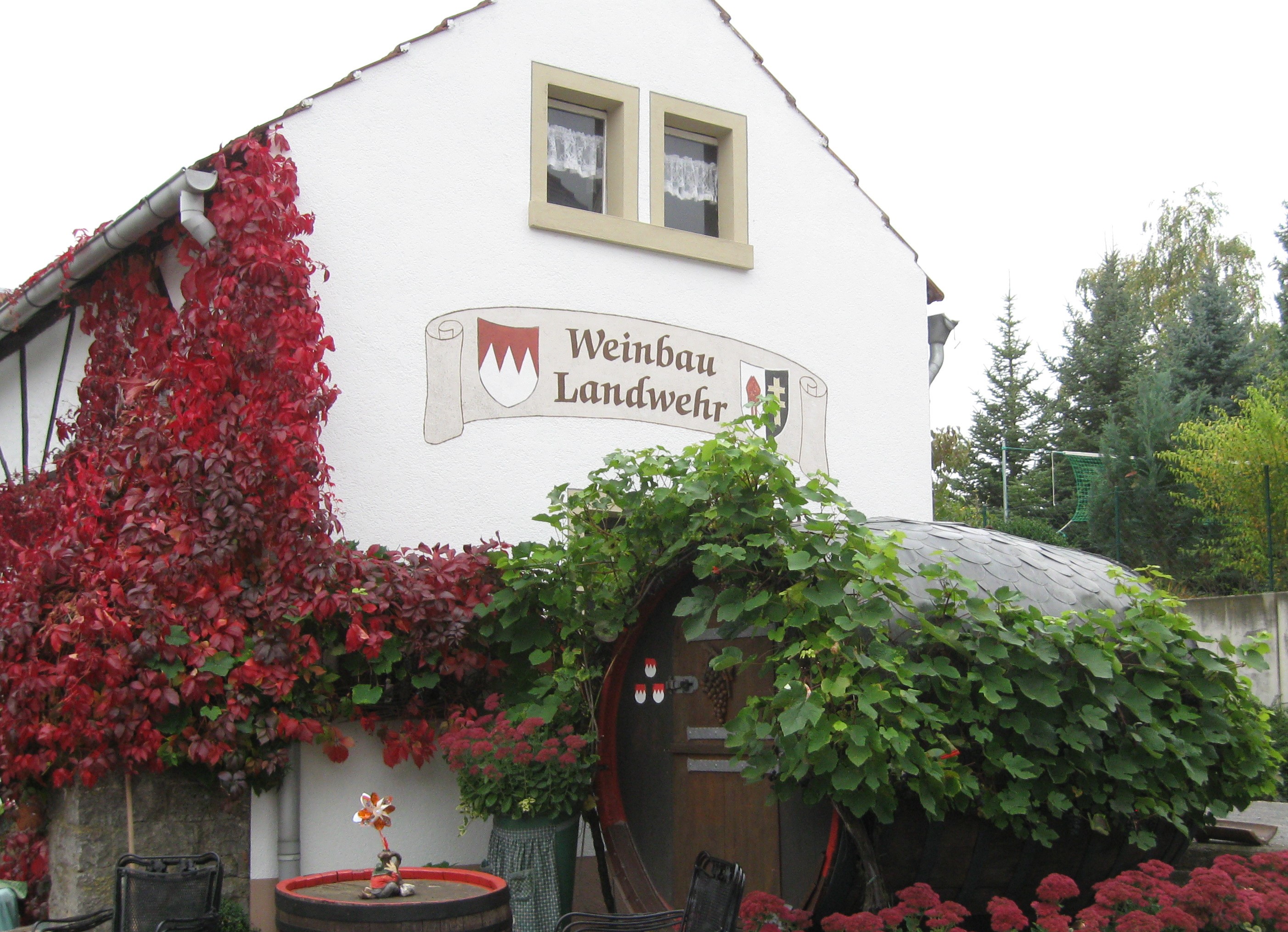Unser Hof wird im Herbst von rotem wilden Wein geschmückt